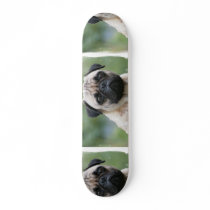 Pug Puppy Dog Skateboard