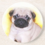 Pug Puppy Drink Coaster