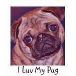 Pug Puppy Face Girl's T-shirt