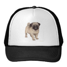 Pug Puppy Hat