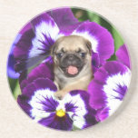 Pug puppy in pansies beverage coasters