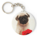 Pug puppy keychain