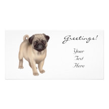Pug Puppy Photo Card