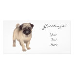 Pug Puppy Photo Card photo cards