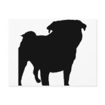Pug Silhouette Postcard