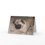 Pug - Sorry cards
