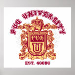PUG UNIVERSITY Garnet and Gold posters