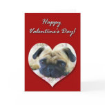 Pug Valentines Day Card