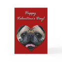 Pug Valentines Day Card