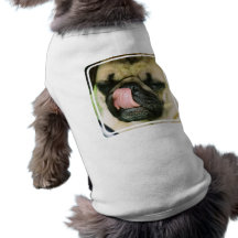 Pugalicious Pet Shirt