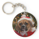 Puggle keychains