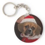 Puggle keychains