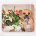 Puggle mousepads