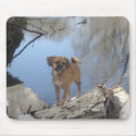 Puggle mousepads