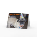 Puggy Greetings: Birthday cards