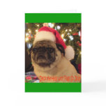 Puggy Greetings: Christmas cards