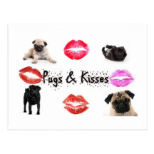Pugs and Kisses Postcard