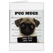 Pugs Card