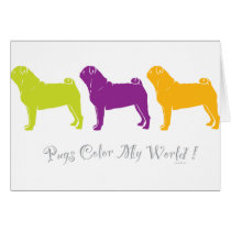 Pugs Colour My World
