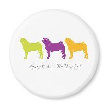 Pugs Colour My World