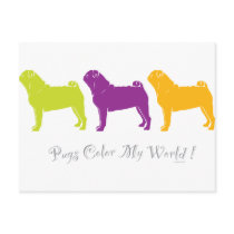 Pugs Colour My World