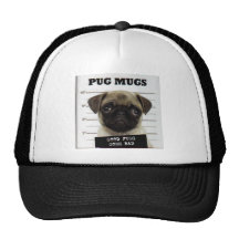 Pugs Hats