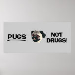 Pugs Not Drugs Poster posters
