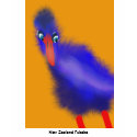 pukeko, New Zealand Pukeko t-shirts