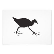 pukeko swamphen custom invitations