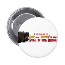 Pull in reins Funny Horse Pins