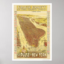 Pulse Of New York Map 1891 Print