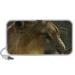 Puma Cat Speakers