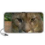 Puma Cat Speakers