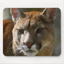 Puma Cats Mouse Pad