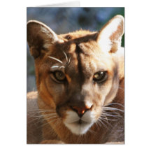 Puma Greeting Card