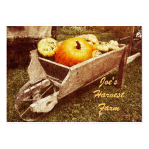 Pumkins in a wheelbarrow harvest farm businesscard business card