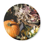 Pumpkin Autumn magnets
