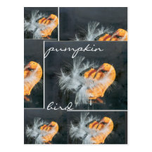 pumpkin-bird Kürbis-vogel Postkarten