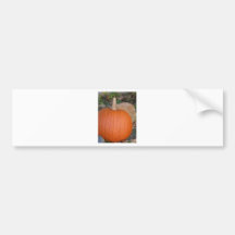 Pumpkin Bumper Sticker