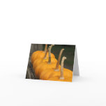Pumpkin Card