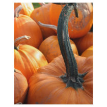 Pumpkin close-up custom flyer
