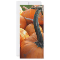 Pumpkin close-up rack card