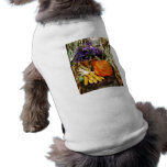 Pumpkin, Corn and Asters pet clothing