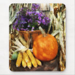 Pumpkin, Corn and Asters