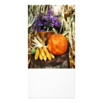 Pumpkin, Corn and Asters