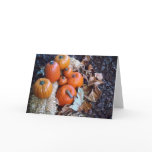 Pumpkin display greeting card