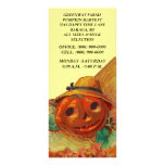 PUMPKIN HARVEST FARMS JOL FALL SEASON Rack Cards rack cards