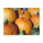 Pumpkin Harvest postcards