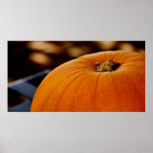 Pumpkin in Rectangle Poster