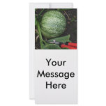 Pumpkin in the Garden rack cards